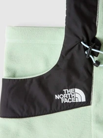 Шапки и кепки The North Face Whimzy Powder Hood модель NF0A7RIGI0G1 Фото