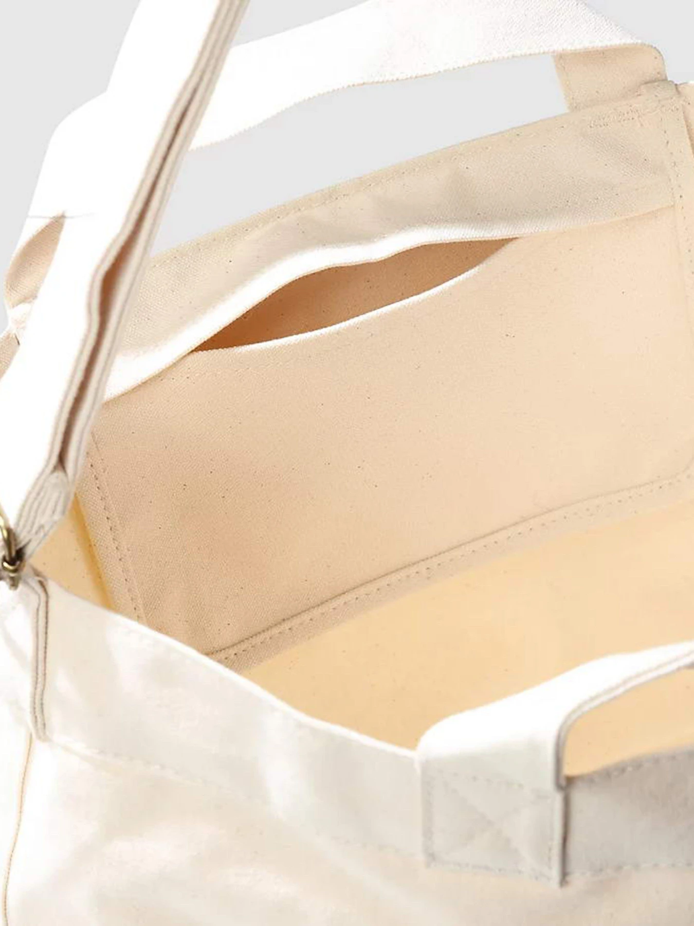 Сумки The North Face ADJUSTABLE COTTON TOTE модель NF0A81BRR171 Фото