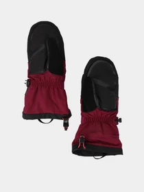 Перчатки и варежки The North Face Ski Mitt модель NF0A7RGXI0H1 Фото