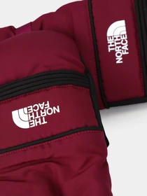 Перчатки и варежки The North Face Ski Mitt модель NF0A7RGXI0H1 Фото