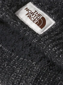 Шапки та кепки The North Face Salty Bae Lined Beanie модель NF0A7WJLJK31 Фото