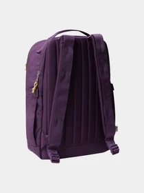 Рюкзаки The North Face Berkeley Daypack 16L модель NF0A52VQTIH1 Фото