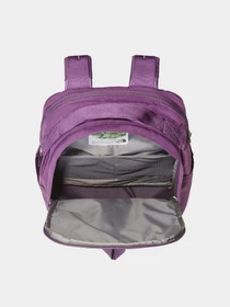 Рюкзаки The North Face Berkeley Daypack 16L модель NF0A52VQTIH1 Фото