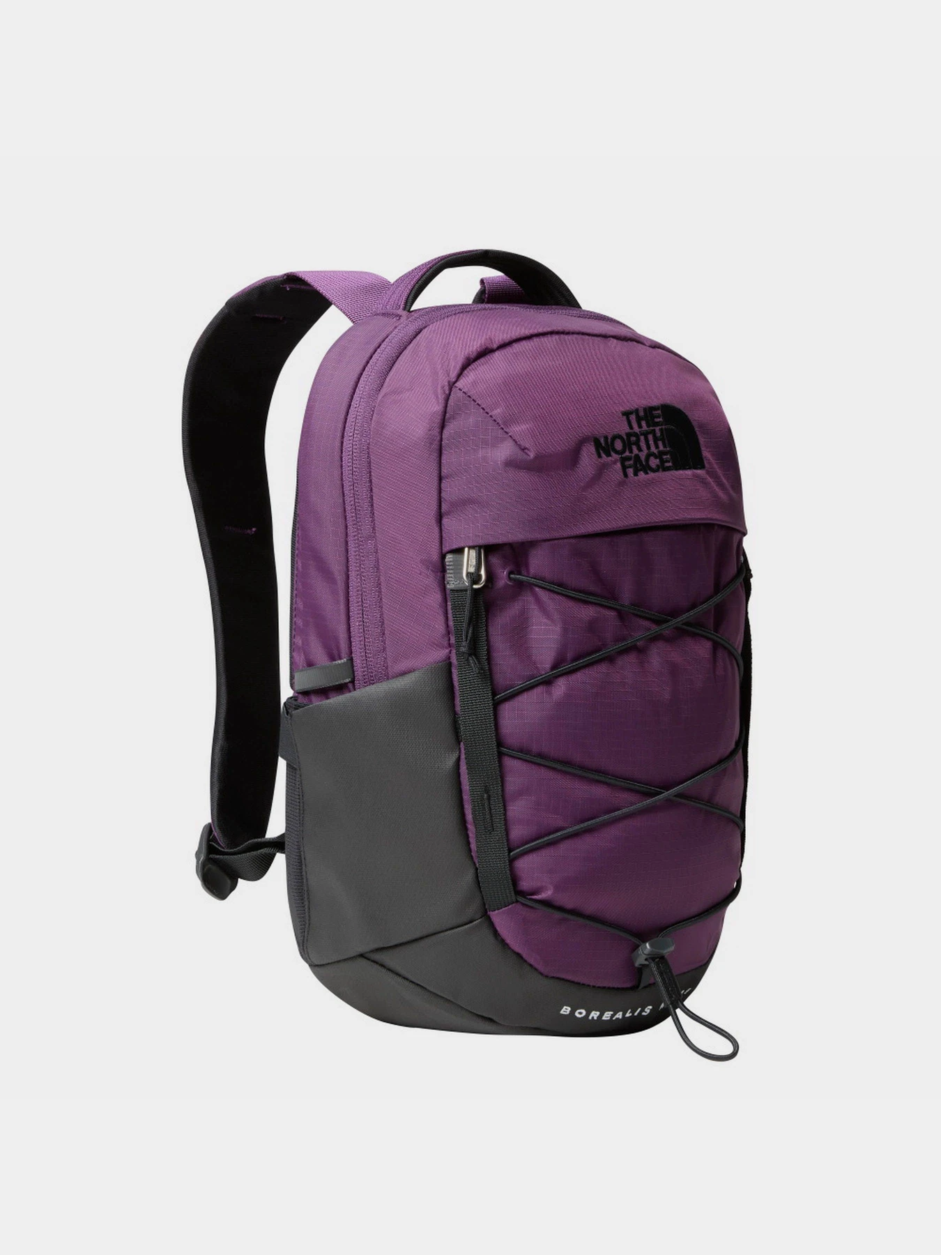 Рюкзаки The North Face Borealis Mini 10L модель NF0A52SW6NR1 Рюкзаки The North Face Borealis Mini 10L модель NF0A52SW6NR1 Фото