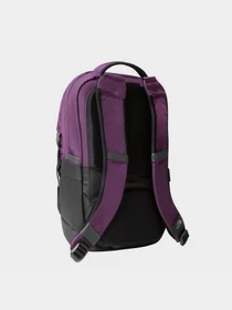 Рюкзаки The North Face Borealis Mini 10L модель NF0A52SW6NR1 Фото