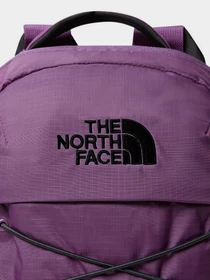 Рюкзаки The North Face Borealis Mini 10L модель NF0A52SW6NR1 Фото