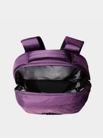 Рюкзаки The North Face Borealis Mini 10L модель NF0A52SW6NR1 Фото