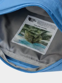 Сумки The North Face Berkeley Lumbar модель NF0A52VUTIV1 Фото