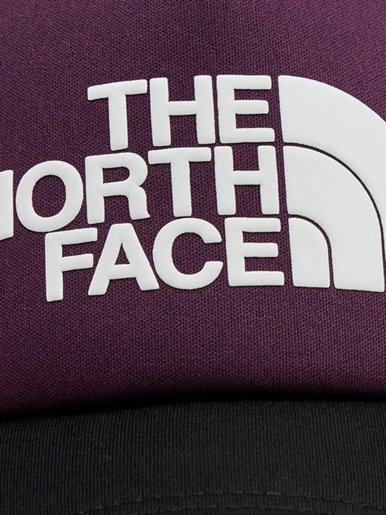 Шапки и кепки The North Face Logo Trucker модель NF0A3FM3V6V1 Фото
