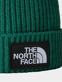 Шапки и кепки The North Face Logo Box Cuffed модель NF0A3FJXNL11 Фото