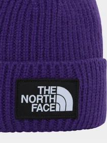 Шапки и кепки The North Face Logo Box Cuffed модель NF0A3FJXNL41 Фото
