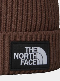 Шапки и кепки The North Face Logo Box Cuffed модель NF0A3FJX1OI1 Фото