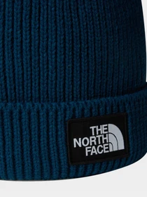 Шапки и кепки The North Face Logo Box модель NF0A3FN31NO1 Фото