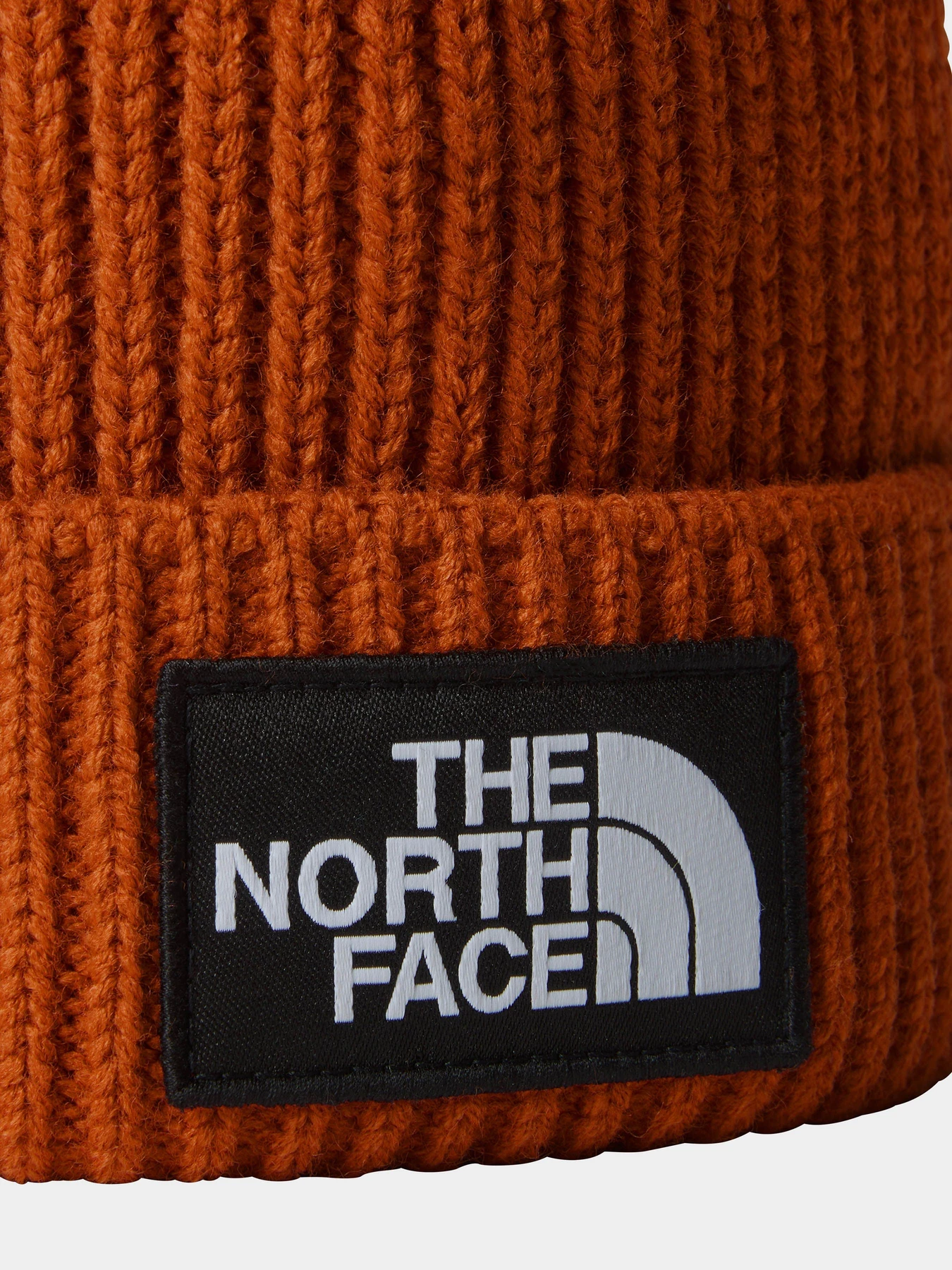 Шапки и кепки The North Face Logo Box Pom модель NF0A3FN31I01 Фото
