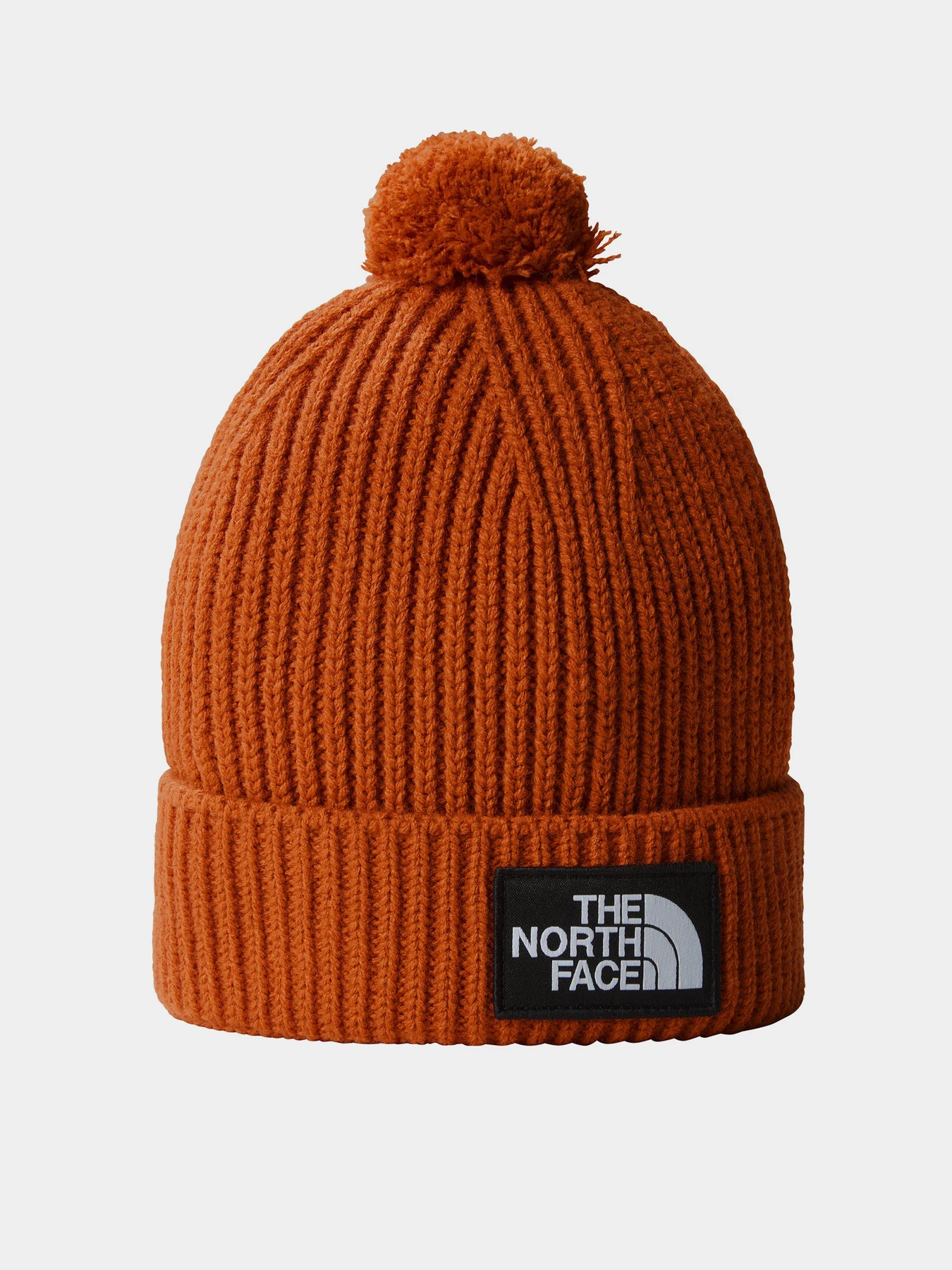 Шапки и кепки The North Face Logo Box Pom модель NF0A3FN31I01 Фото
