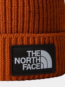 Шапки и кепки The North Face Logo Box Pom модель NF0A3FN31I01 Фото