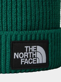 Шапки и кепки The North Face Logo Box модель NF0A3FN3NL11 Фото