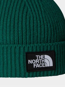 Шапки та кепки The North Face Box Logo Cuffed модель NF0A7WGCNL11 Фото