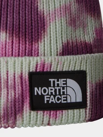 Шапки и кепки The North Face Tie Dye Logo Box модель NF0A7WJI9EI1 Фото