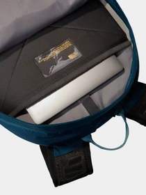 Рюкзаки The North Face Borealis Classic 29L модель NF00CF9C4OJ1 Фото