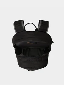 Рюкзаки The North Face Borealis Classic модель NF00CF9C4GZ1 Фото