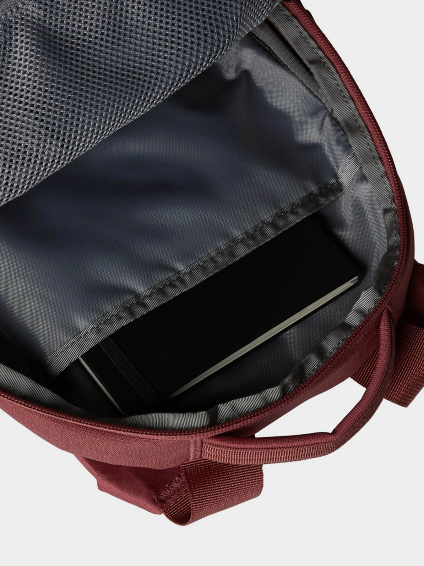 Рюкзаки The North Face Borealis Mini 10L модель NF0A52SWRIG1 Фото