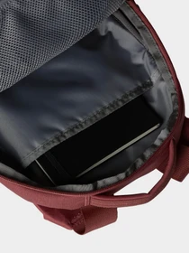 Рюкзаки The North Face Borealis Mini 10L модель NF0A52SWRIG1 Фото