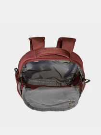 Рюкзаки The North Face Borealis Mini 10L модель NF0A52SWRIG1 Фото