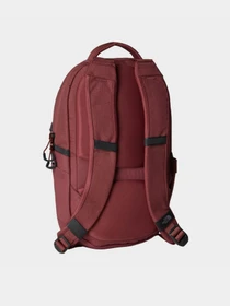 Рюкзаки The North Face Borealis Mini 10L модель NF0A52SWRIG1 Фото