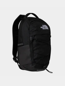 Рюкзаки The North Face Borealis Mini 10L модель NF0A52SW4HF1 Фото