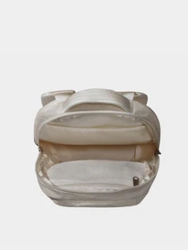 Рюкзаки The North Face Borealis Mini 10L модель NF0A52SW4Q71 Фото