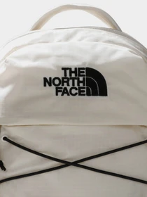 Рюкзаки The North Face Borealis Mini 10L модель NF0A52SW4Q71 Фото