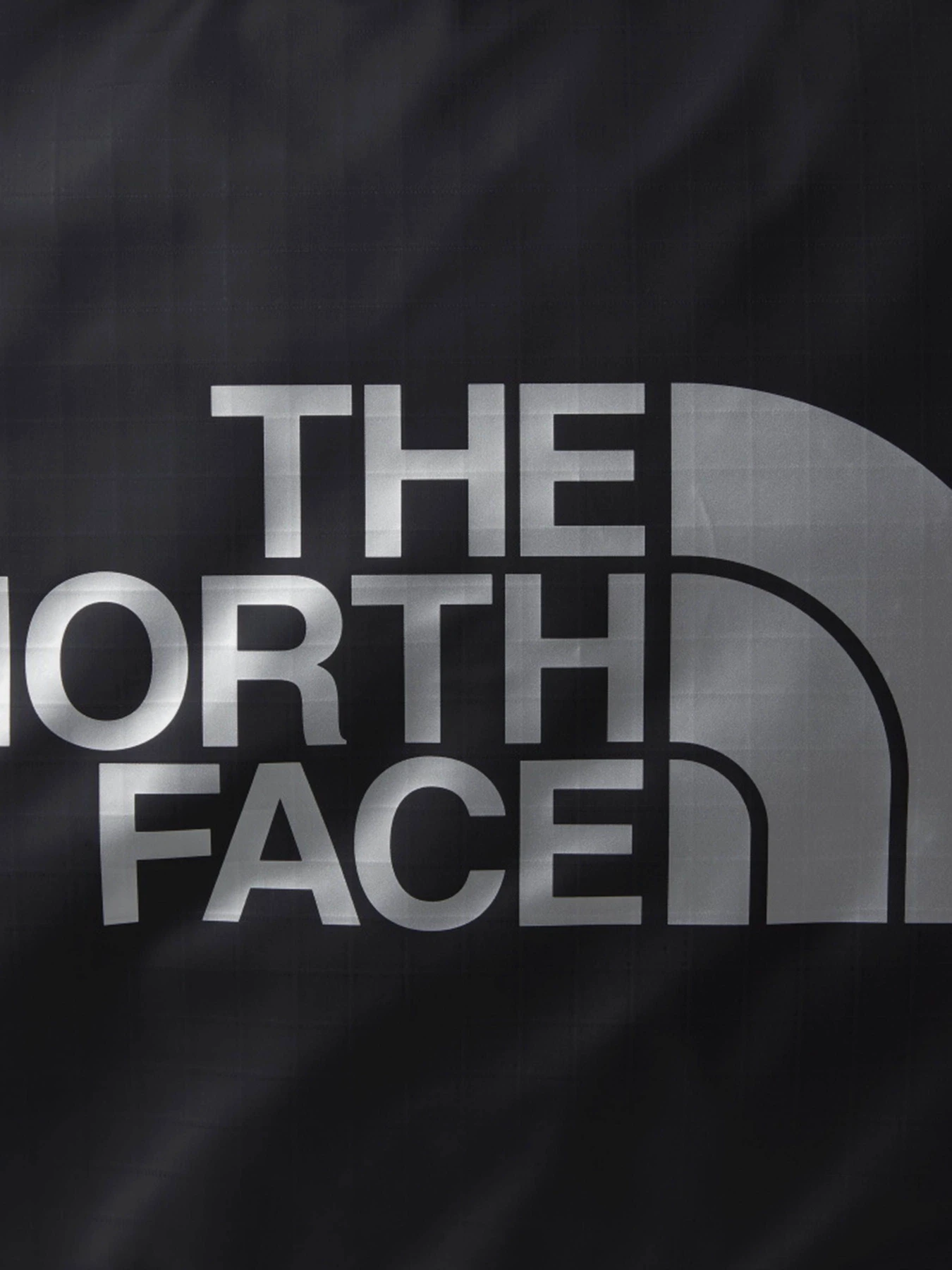 Дорожные сумки и чемоданы The North Face Base Camp Gear Box модель NF0A81CD4HF1 Дорожные сумки и чемоданы The North Face Base Camp Gear Box модель NF0A81CD4HF1 Фото
