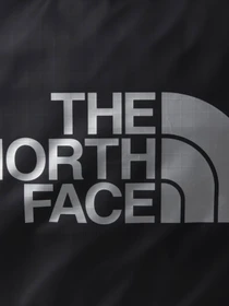 Дорожные сумки и чемоданы The North Face Base Camp Gear Box модель NF0A81CD4HF1 Фото