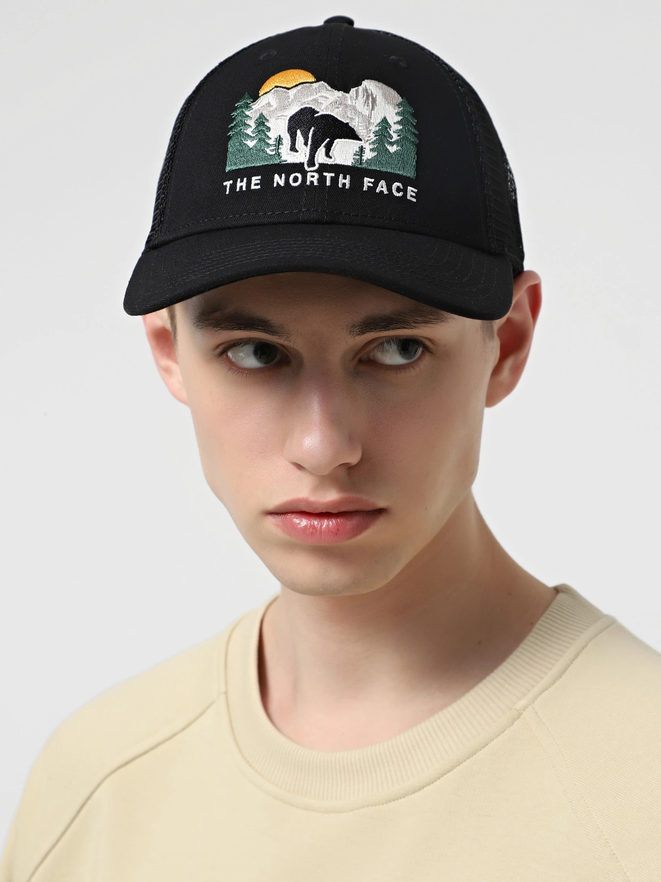 Шапки и кепки The North Face Embroidered Mudder Trucker модель NF0A7WH396O1 Шапки и кепки The North Face Embroidered Mudder Trucker модель NF0A7WH396O1 Фото