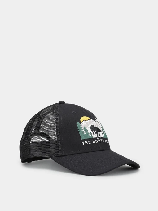 Шапки и кепки The North Face Embroidered Mudder Trucker модель NF0A7WH396O1 Фото