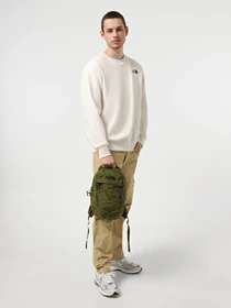 Рюкзаки The North Face Borealis Mini 10L модель NF0A52SW39M1 Фото