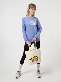 Сумки The North Face Cotton 17 L модель NF0A3VWQBV01 Фото
