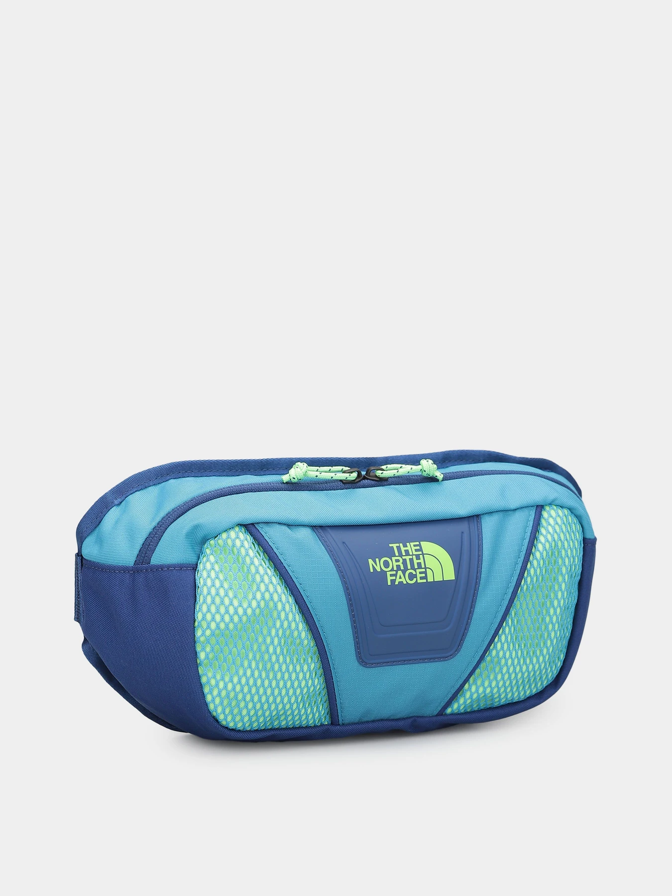 Сумки The North Face Y2k Hip Pack 3 L модель NF0A87GEBDI1 Сумки The North Face Y2k Hip Pack 3 L модель NF0A87GEBDI1 Фото