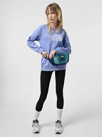 Сумки The North Face Y2k Hip Pack 3 L модель NF0A87GEBDI1 Фото