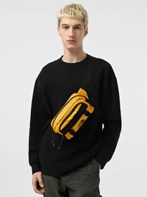 Сумки The North Face Base Camp Lumbar модель NF0A8BK5ZU31 Фото