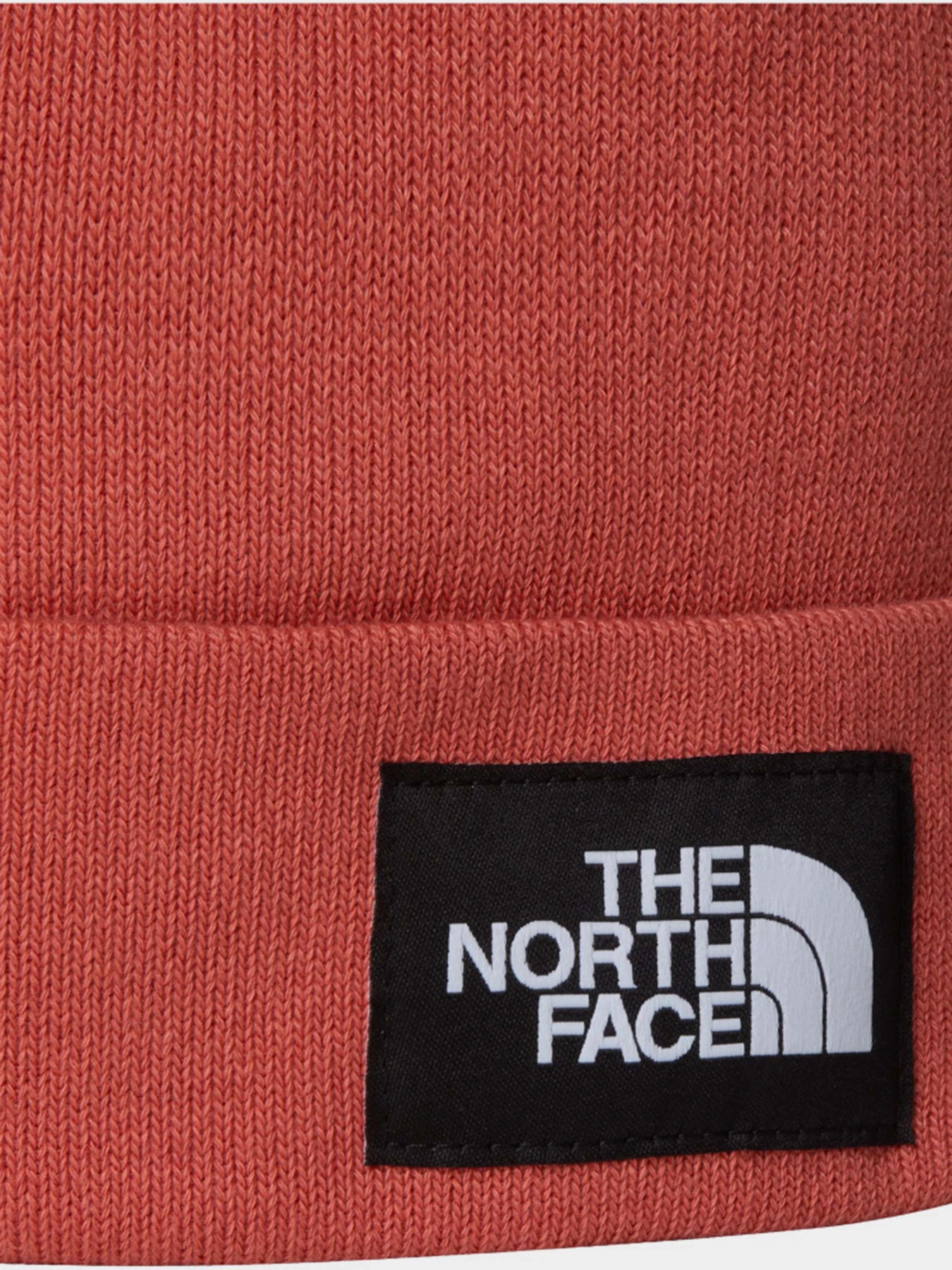 Шапки и кепки The North Face модель NF0A3FNTBOU1 Шапки и кепки The North Face модель NF0A3FNTBOU1 Фото