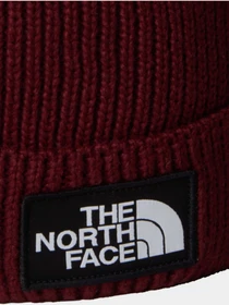 Шапки и кепки The North Face Logo Box модель NF0A8CHF0VO1 Фото