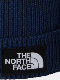 Шапки и кепки The North Face Logo Box Pom модель NF0A8CHF8K21 Фото