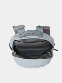 Рюкзаки The North Face BOREALIS MINI BACKPACK модель NF0A52SWNKO1 Фото