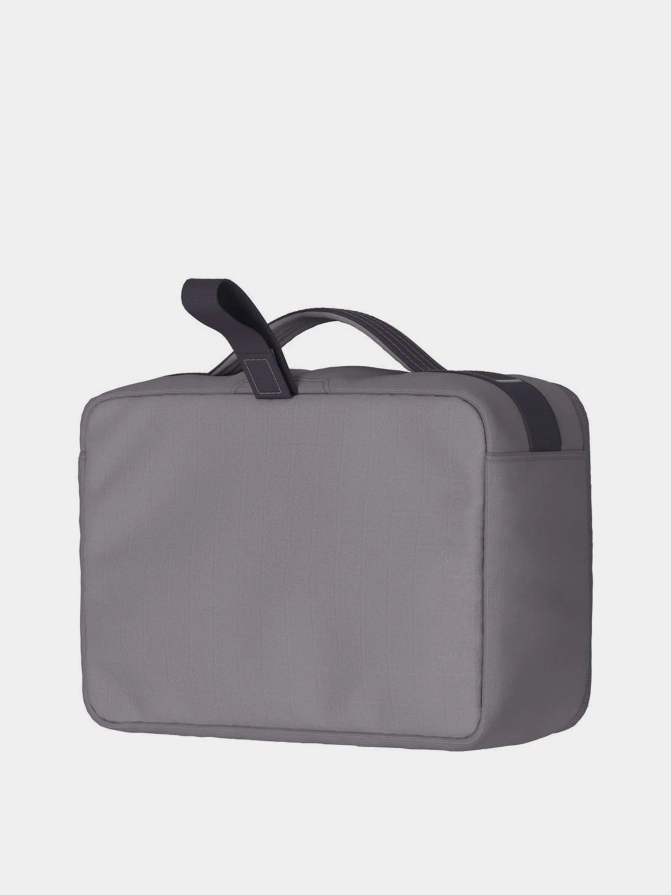 Сумки The North Face BASE CAMP VOYAGER TOILETRY KIT модель NF0A81BLN8R1 Фото