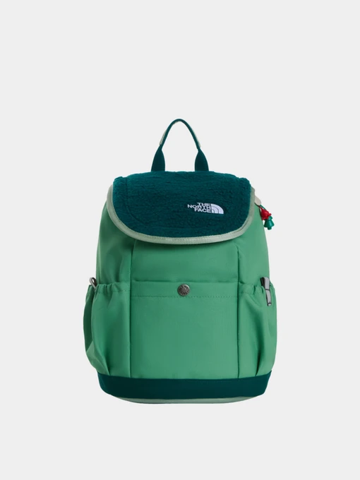 Рюкзаки The North Face Y MINI EXPLORER модель NF0A52VWZT01 Фото