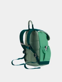 Рюкзаки The North Face Y MINI EXPLORER модель NF0A52VWZT01 Фото