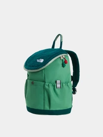 Рюкзаки The North Face Y MINI EXPLORER модель NF0A52VWZT01 Фото