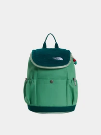 Рюкзаки The North Face Y MINI EXPLORER модель NF0A52VWZT01 Фото